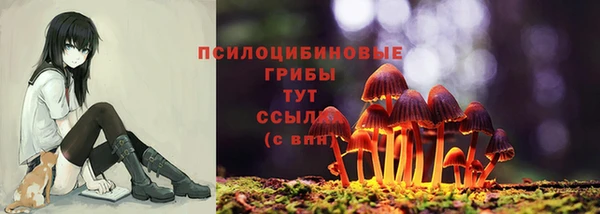стафф Красноперекопск