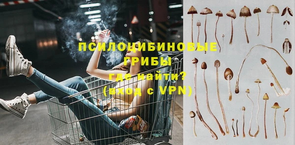 марки lsd Краснослободск