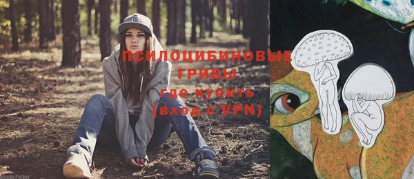 бошки Краснотурьинск