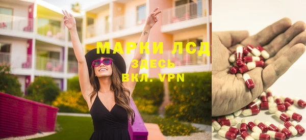 apvp Чегем