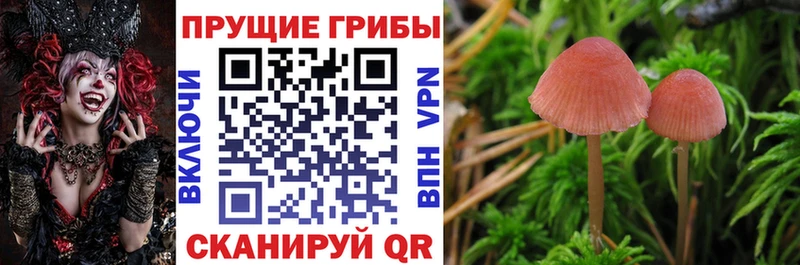 Псилоцибиновые грибы ЛСД  блэк спрут вход  Домодедово 